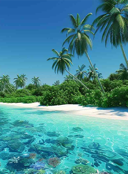 Dudhsagar Waterfalls, Goa